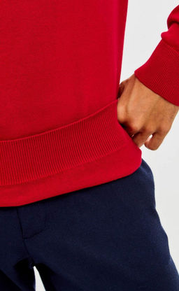 Джемпер мужской в полоску с воротом на молнии F221-15-22022 сине-красный - Fine joyce фото 8