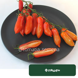 Фляшен - Tomatia фото 2