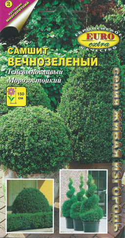 Самшит вечнозеленый (2029)