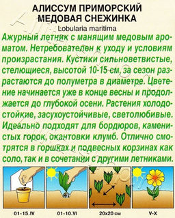 Алиссум Медовая снежинка 0,05г (Аэлита)