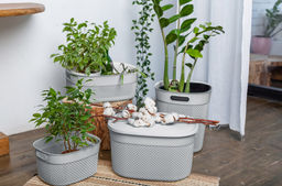 Корзина для хранения OSLO 12л серый шторм PT1352СШ-14