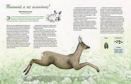 Наши соседи по планете. Рассказы о диких животных. Стегман Л., Янсен Б. - Махаон фото 2