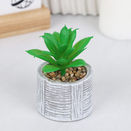 Цветочная композиция Кактус / WER-22 /уп 12/192/ микс - Галеонтрейд фото 8