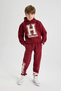 Толстая толстовка с капюшоном и принтом для мальчиков - Defacto фото 2