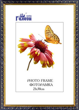 Фоторамка 21х30 / 1500C-014D1 /уп10