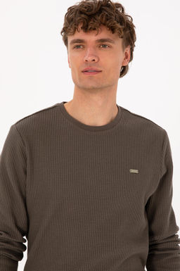 Erkek Bisiklet Yaka Regular Fit Petek Dokulu Vizon Sweatshirt - U.s. polo assn фото 2