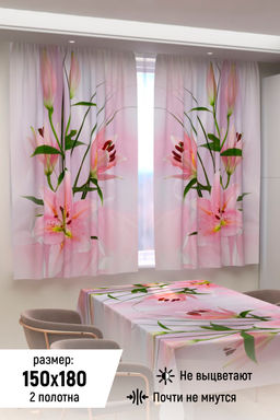 Фотошторы для кухни 10862
