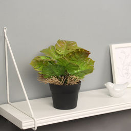 Искусственный цветок в горшке Асплениум премиум, 21?10.5 см, МИКС