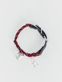 Ошейник для животных / Zarina