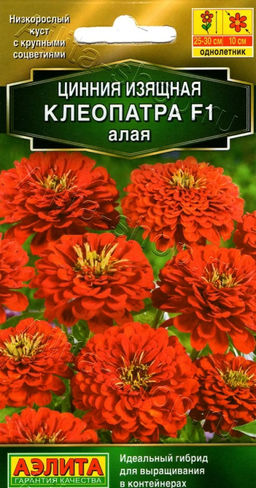 Цинния Клеопатра F1 алая 12шт. (Аэлита)