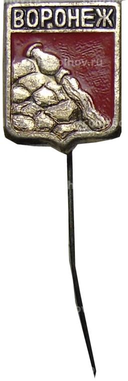Значок Воронеж