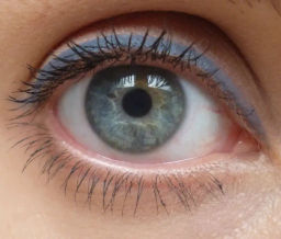 El Corazon карандаш для глаз 121 Grey