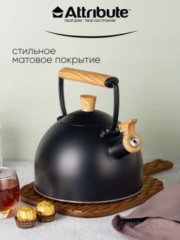 Чайник BLACKWOOD 2.5л со свистком