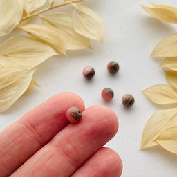 Бусины для украшений из Родохрозита (5 шт)