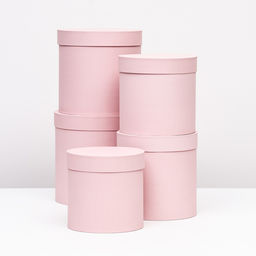 Набор круглых коробок 5 в 1 Краски, пыльная роза, 25 х 25 х 25 - 19 х 19 х 19 см