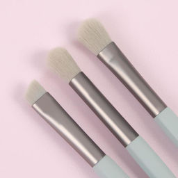 Набор кистей для макияжа «Парфе», 5 предметов, футляр на кнопке, цвет серый