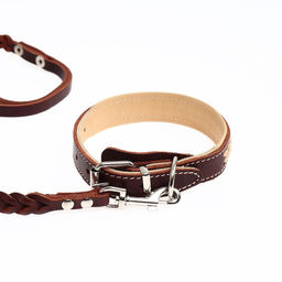 Комплект бежевый ошейник и коричневый поводок с косой - Пушистое счастье фото 7