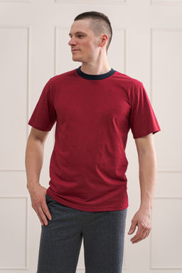 Футболка мужская из плотной кулирки Березка чёрный на винном