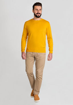 Джемпер мужской GREG G121-AC023 (горчица)  фото 3