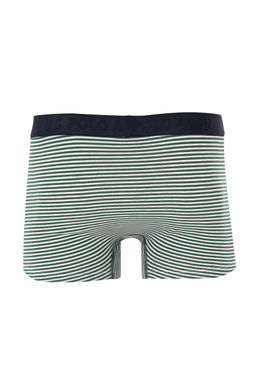 Мужской низ нижнего белья мятного цвета Неожиданная скидка в корзине - U.s. polo assn фото 6