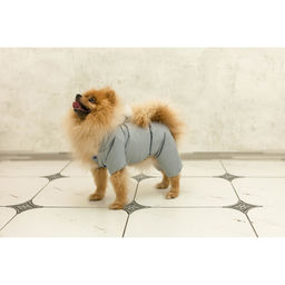 Комбинезон зимний для животных, флис, 2XL (ДС 34-36, ОШ 34-36, ОГ 44-48 см), серый - Simaland фото 11