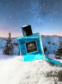 Dilis WALKER BREEZE Парфюмерная вода для мужчин 90 мл  фото 2