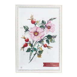 Рамка Gamma ПРК-17 40 х 60 см пластик. с оргстеклом белый