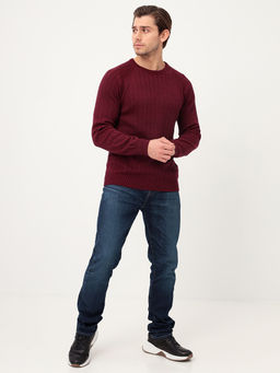 Джемпер мужской GREG G121-35237-лапша (бордо м.)  фото 2