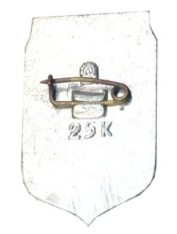 Значок Запорожье