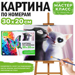 Картина по номерам "Инь и Янь" 30х20 см.