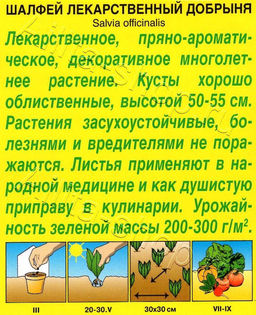 Шалфей лекарственный Добрыня 0,2г (Аэлита)