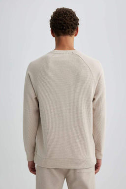 Толстовка стандартного кроя с круглым вырезом и вафельным узором - Defacto фото 7