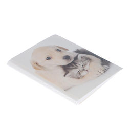 Фотоальбом на 36 фото 10×15 см Pioneer «Puppies and kittens друзья»