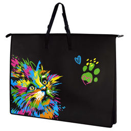 Папка для чертежей и рисунков пластиковая арт. 62515/ 6 НЕОНОВЫЙ КОТ (полипропилен, формат А2, 65х47