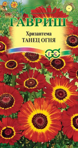 Танец огня хризантема 0,5 гр (г)