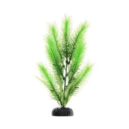 Растение Plant 028 Перистолистник зелёный 30 см PLANT 028/30