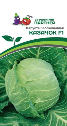 Капуста белокочанная раннеспелая Казачок