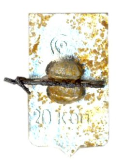 Значок Пошехонье