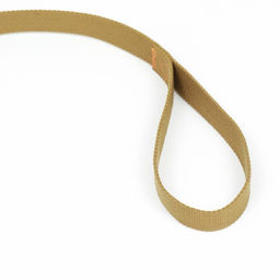 Поводок брезентовый, 1.6 м х 2.5 см, песочный - Пижон фото 3