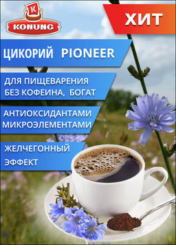 Цикорий PIONEER