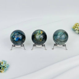 Шар из Лабрадора на подставке