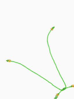 Браслет, длина 16 см, зелёный