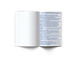 Светоч 48Т3 Тетрадь со справочным материалом Знания в действии, A5 48 л. на скобе 60 г/кв.м , белизна 90 % 10 шт. , линия 00833 Литература фото 5