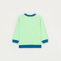 CRB wear/CWNB 62832-37-285 Джемпер для мальчика, светло-зеленый/Ex.Cherubino фото 3