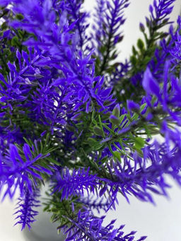 Лаванда 5, 35 см, декоративное растение