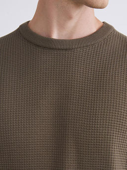 Bisiklet Yaka Kareli Erkek Triko Kazak