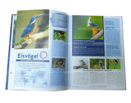 Альбом для монет 3 евро Австрия Животные со всего мира