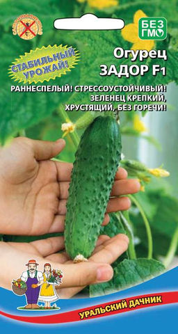 Огурец ЗАДОР F1 Для пикулей и корнишонов высшего качества!