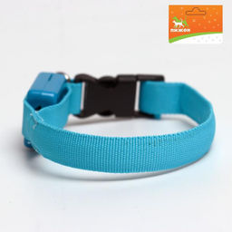 Ошейник светящийся узкий для небольших собак, 26 х 1,5 см, голубой