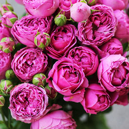 Большой, красивый двусторонний платок с рисунком в стиле арт-декои необычной текстурой ткани - Tantino фото 2